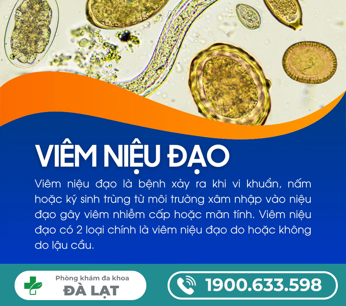 Hình ảnh minh họa